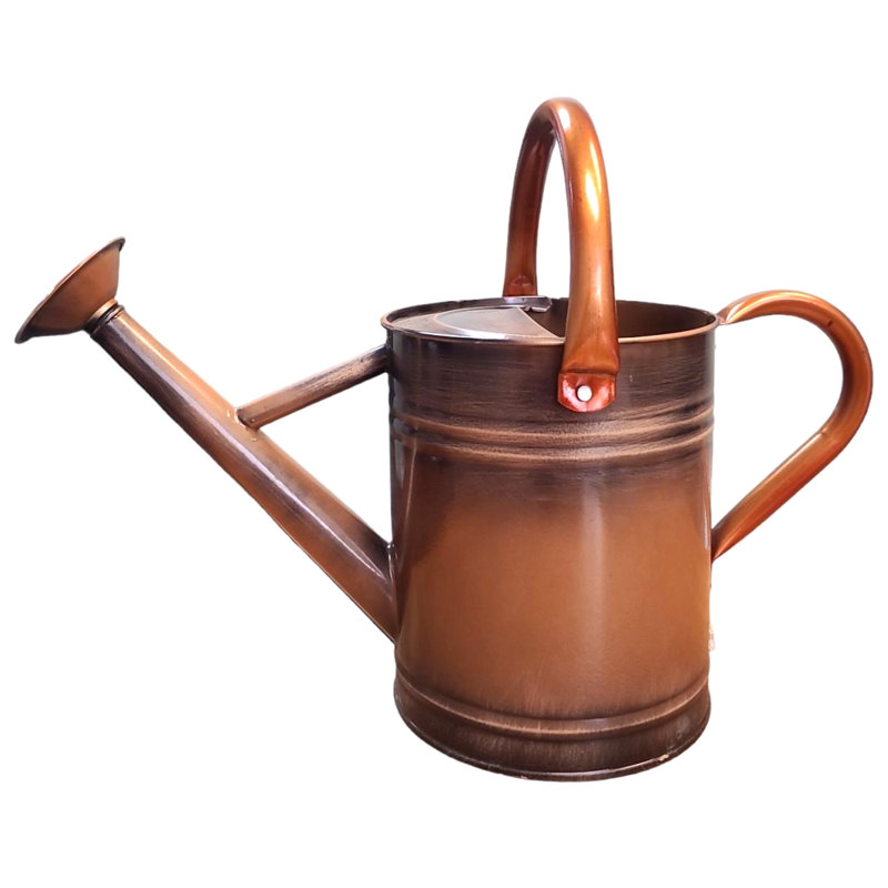 Outils de jardinage pour arrosoir Lexi Home, Cuivre