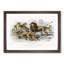Lion, Tiger, Leopard and Jaguar by Oliver Goldsmith - Picture Frame Painting Print-55580684-55580686