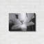 "Tulipes translucides IV" par Debra Van Swearingen-1737251100