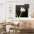 Harnek Red Tipped White Tulips