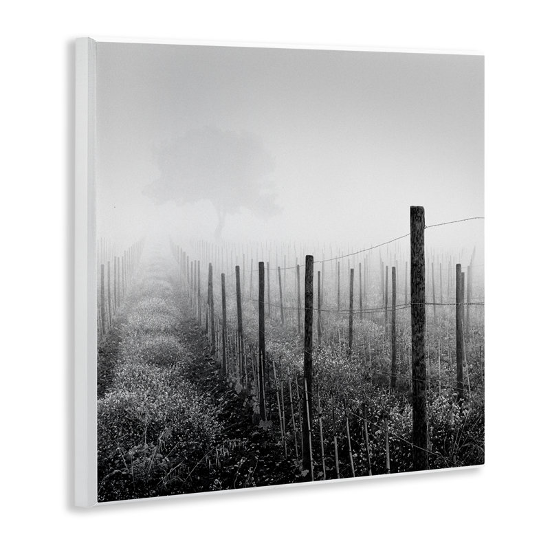 Plaque murale Vineyard At Dawn, design par Chip Forelli