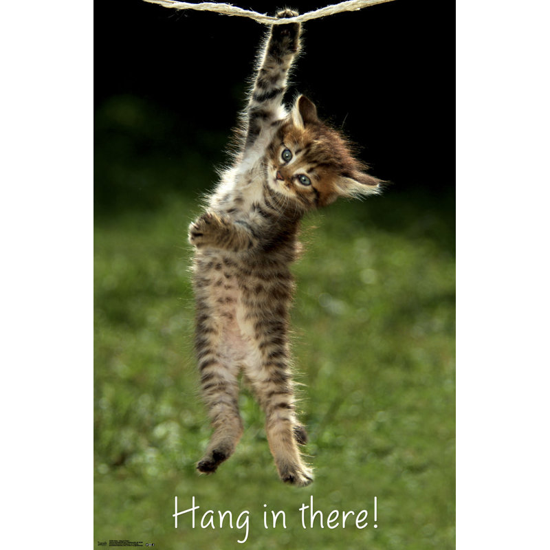 Impression sur papier chat-hang