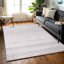 Narine Machine Woven Grey/White Indoor Rug-1546434369