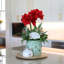DLB WHITE AMARYLLIS IN GREEN ORENTIAL-344507219