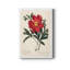 Red Botanical IV - reproduction sur toile tendue-464974250