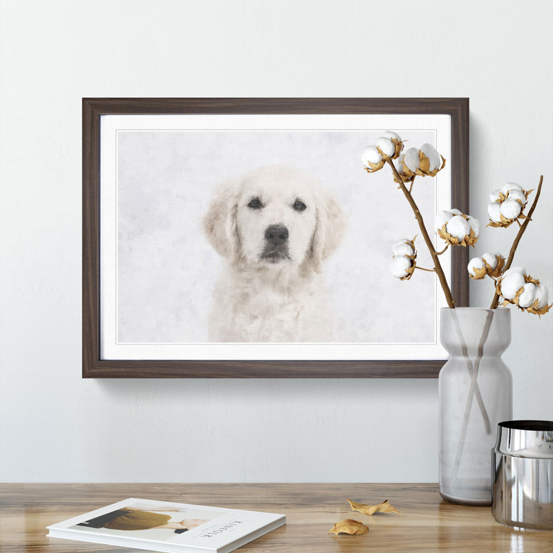 Golden Retriever Puppy - Picture Frame Graphic Art Print, Walnut Framed, 24cm H x 33cm W x 2cm D