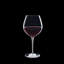 Vinoteque Goblet