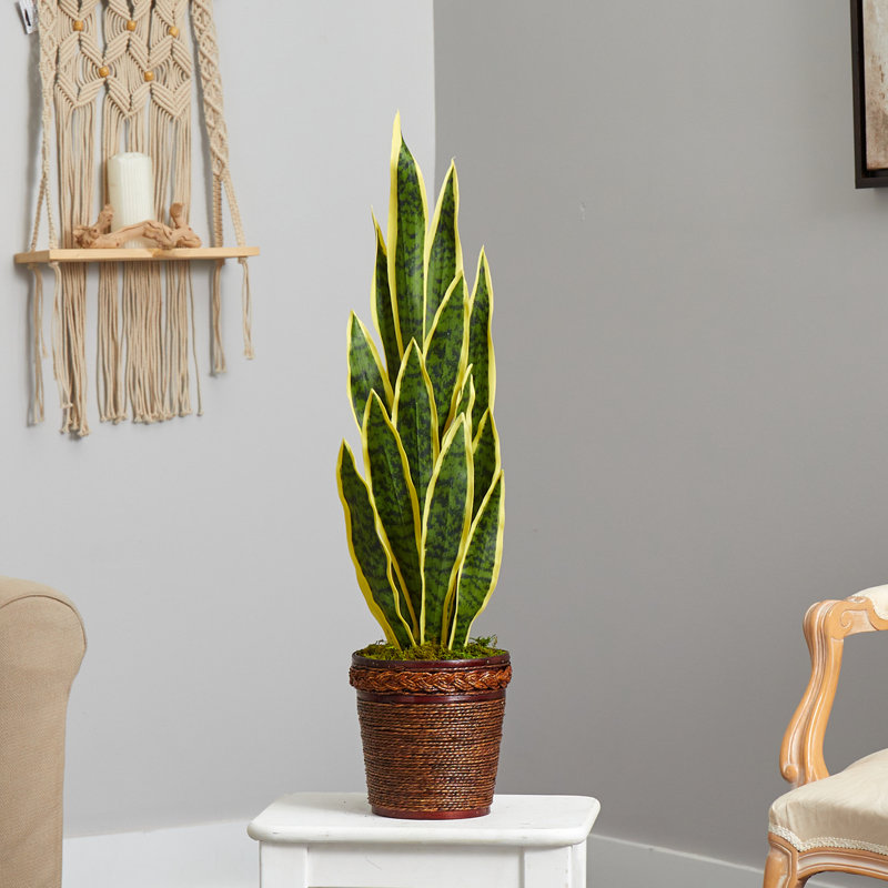 Plante artificielle en panier 34 po