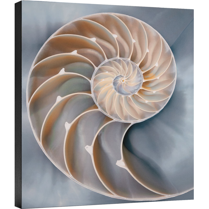 «Nautilus in Blue II», impression sur toile tendue