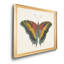 «Beautiful Butterfly IV», impression sur toile encadrée-1812992104-1812992107
