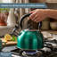 Buckingham Stainless Steel Camping Whistling Kettle with Heat-Resistant Handle 2.5 Litres-1644964775