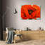 Coquelicot rouge-469122383