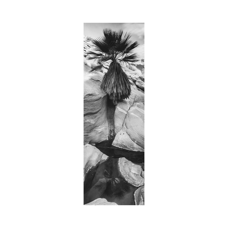 Indian Canyons, Palm Springs, California by Zandria Muench Beraldo - Wrapped Canvas Panoramic Print