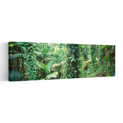 Végétal, Seychelles, forêt abstraite, art mural