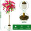 Plant-873009513
