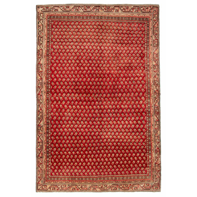 Tapis rouge Andelz 6 pi 2 po x 9 pi 2 po