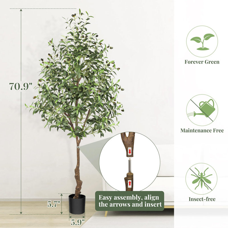 Olive Tree in Pot with Realistic Leaves and Natural Trunk,Olive Plants with Fruits for Home Decor, 70.9" H x 5.9" W x 5.9" D