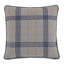 Arthur Square Pillow Cover & Insert