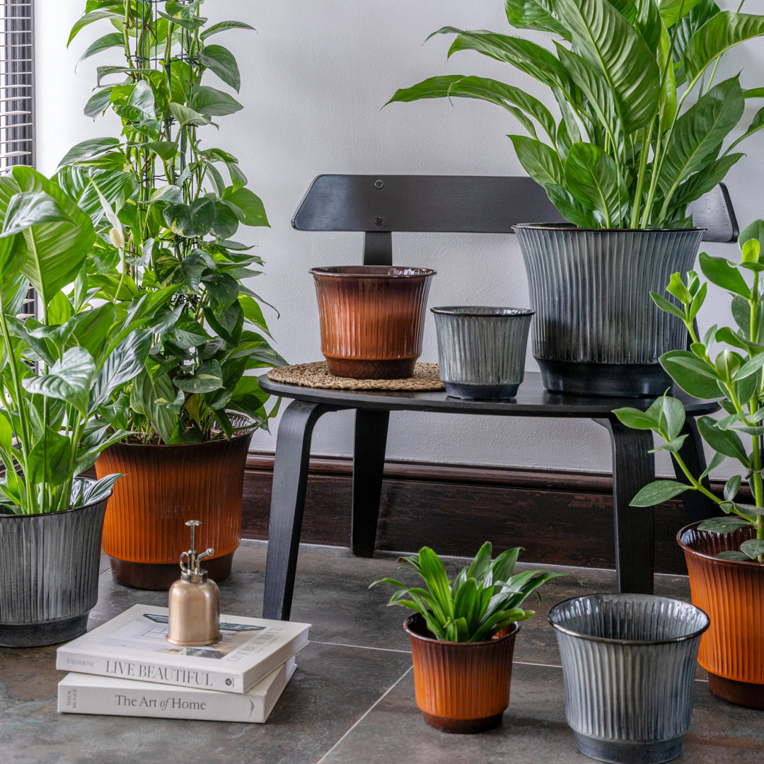 Pot Planter