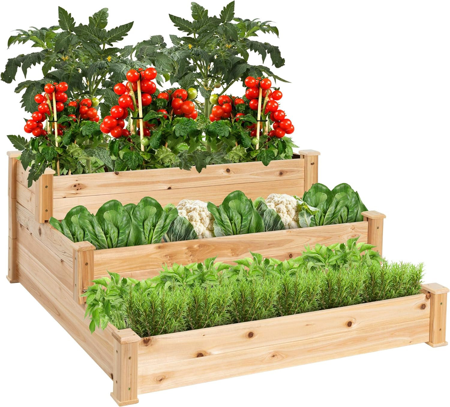 Red Barrel Studio® Guewen 4 ft x 4 ft Raised Garden Bed | Wayfair