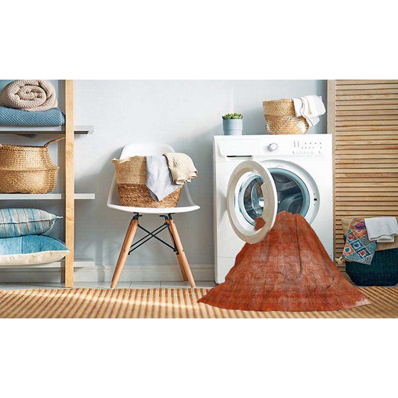 Ahylin Oriental Indoor Rug, Round 5'