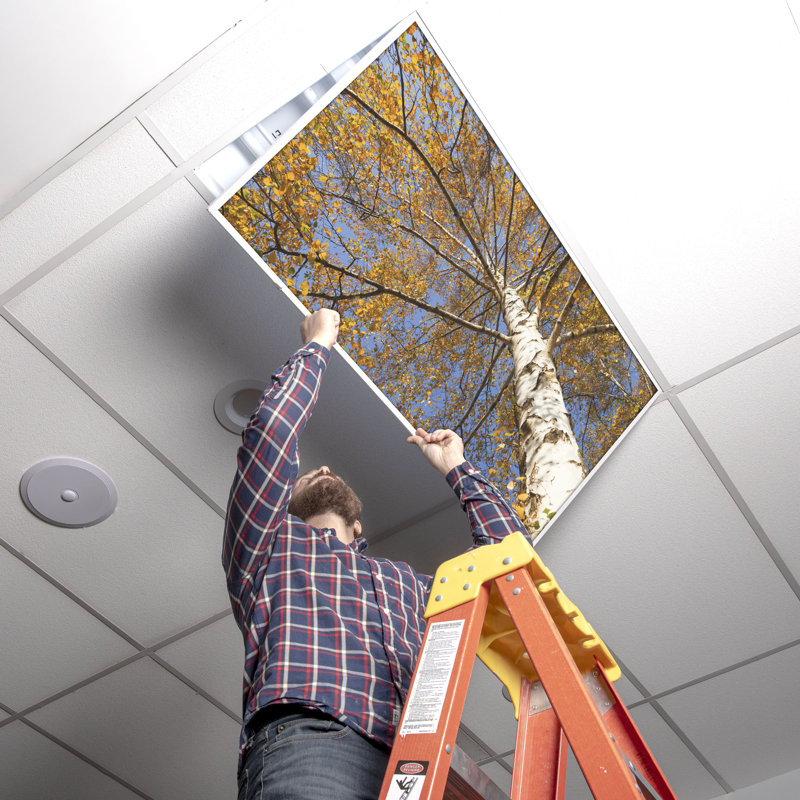 Octo Lights - Fluorescent Light Covers - Flexible Decorative Light Diffuser Panels - Tree - For Classrooms And Offices - Tree 003