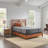 Sealy Posturepedic Plus 12" Extra firm Innerspring Mattress-51838787