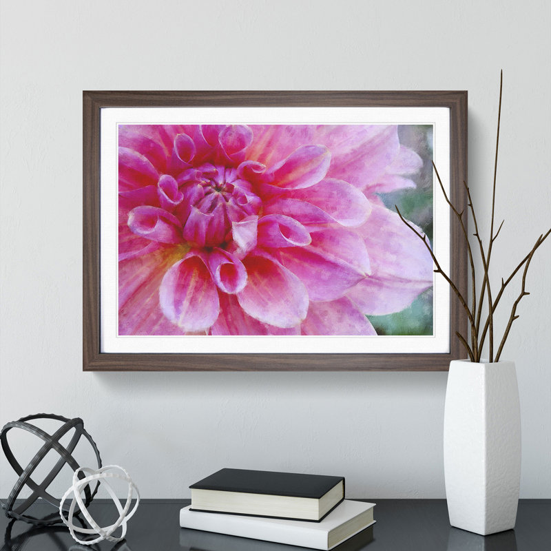 Pink Flower in Blossom - Framed Print, Walnut Framed, 48cm H x 65cm W x 2cm D
