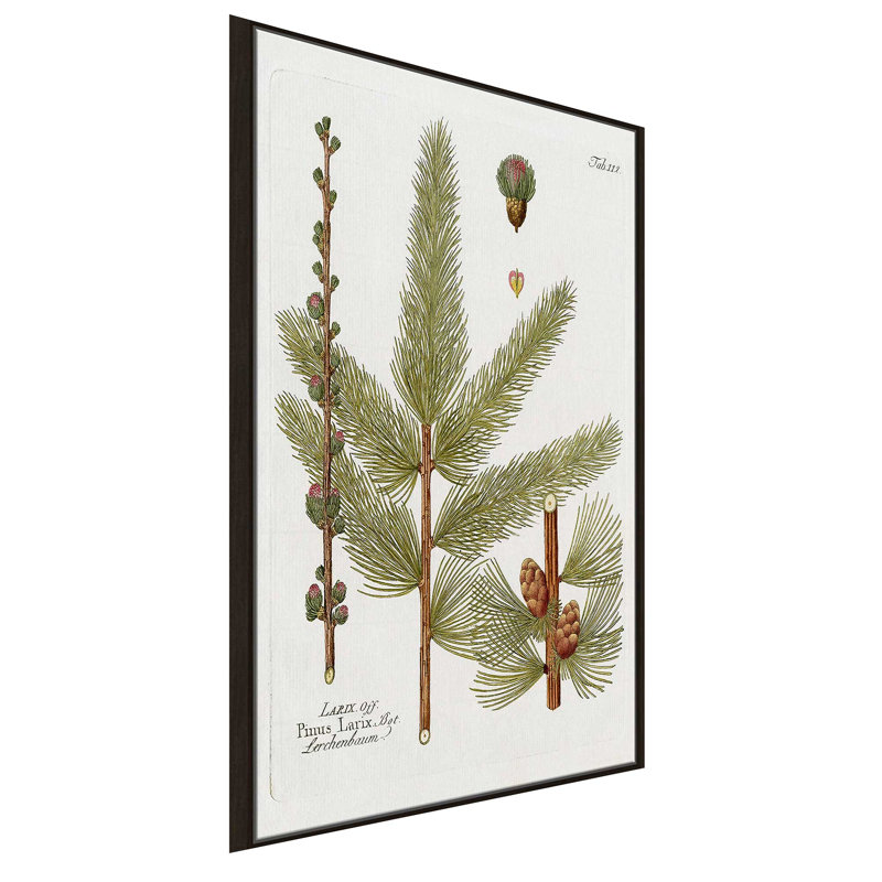Mélèze botanique par Kelly Donovan - Peinture, L 31,5 po x H 51,5 po, Encadrement brun