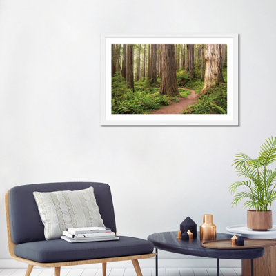 «Redwood Trail» par Stefan Hefele - reproduction de photo sur toile