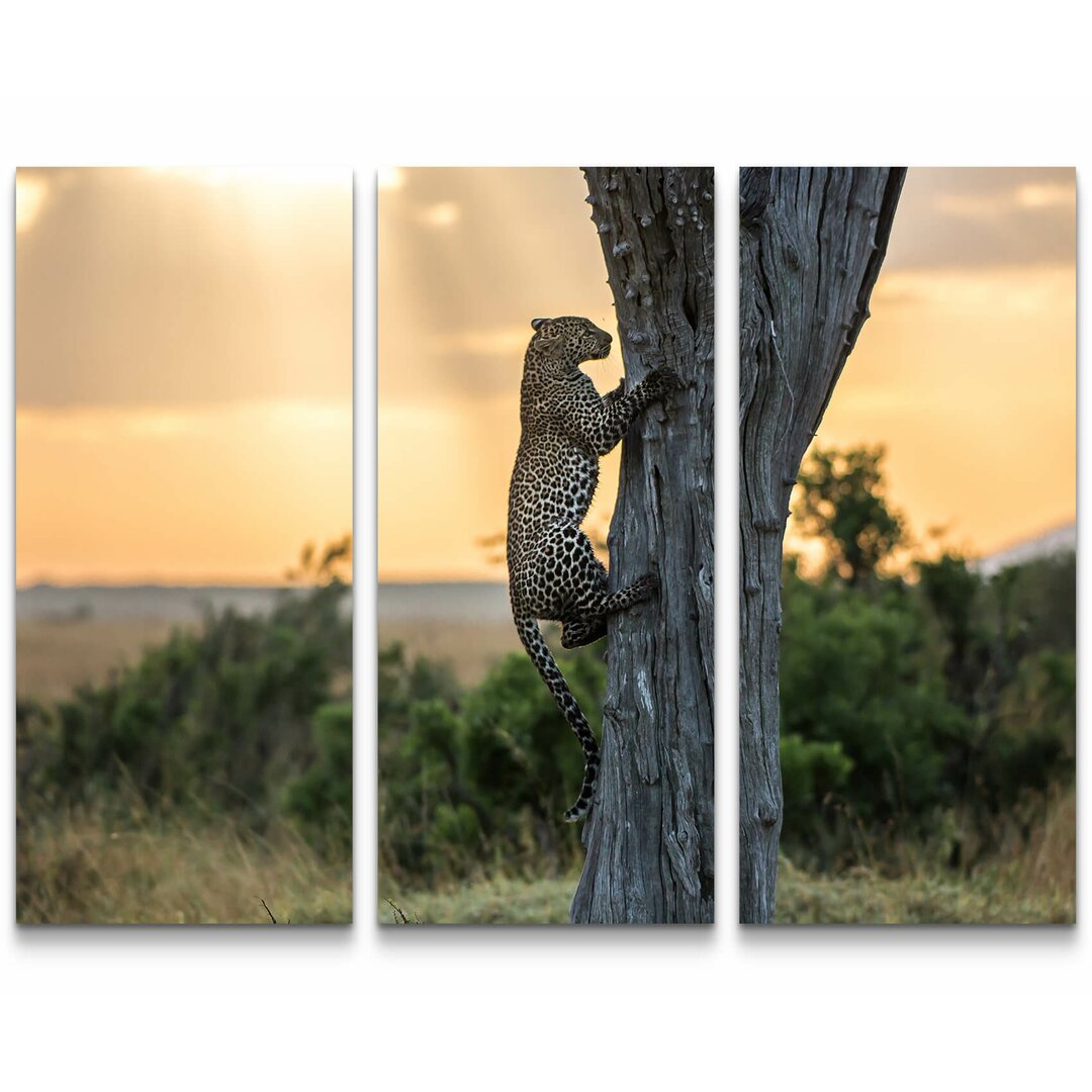 3-tlg. Leinwandbilder-Set Leopard auf einem Baum