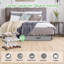 Under Bed Shoe Storage Organiser, Set of 2-352536095