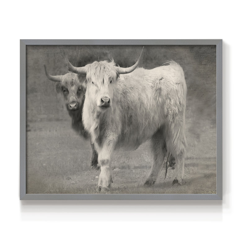Bouvier Highland - inséparable - reproduction encadrée, H 8 po x l 10 po, Gris