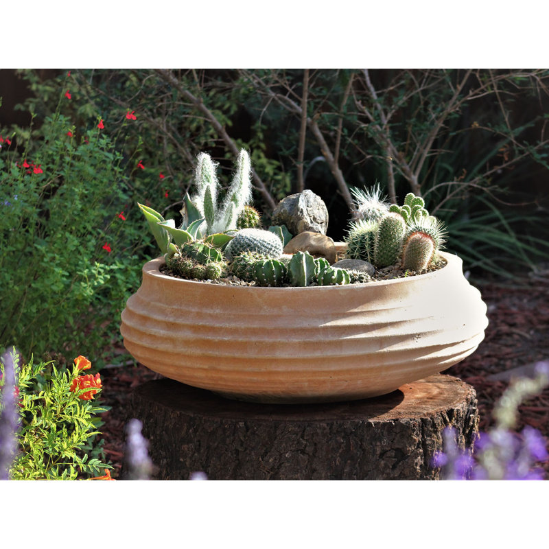 Jardinière PLiatatorem Piatela (standard) - Céramique cuite à la main, 14,5 po x 7,0 po