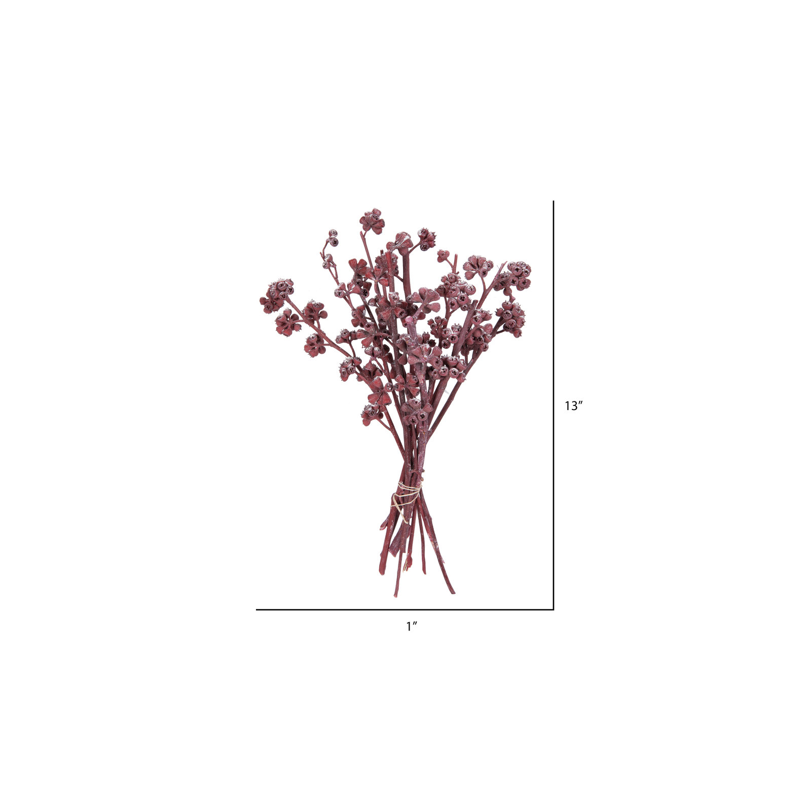 13'' Branch, Red