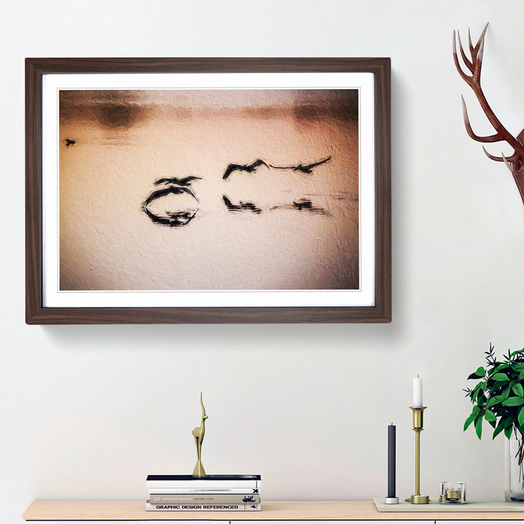 A Flock of Pelicans - Framed Print
