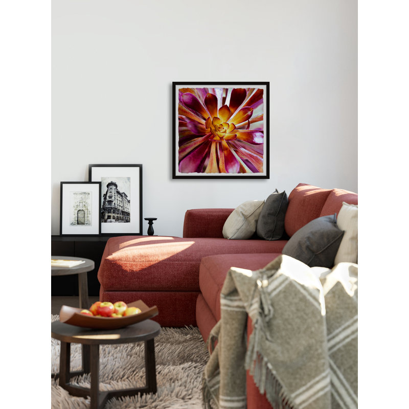 Exotic Succulent - Single Picture Frame Painting, 41 cm H x 41 cm W