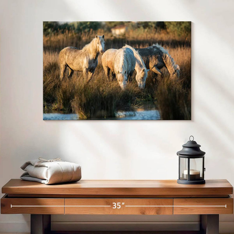 Ronce les chevaux blancs de Camargue VII, H 16 po x l 24 po