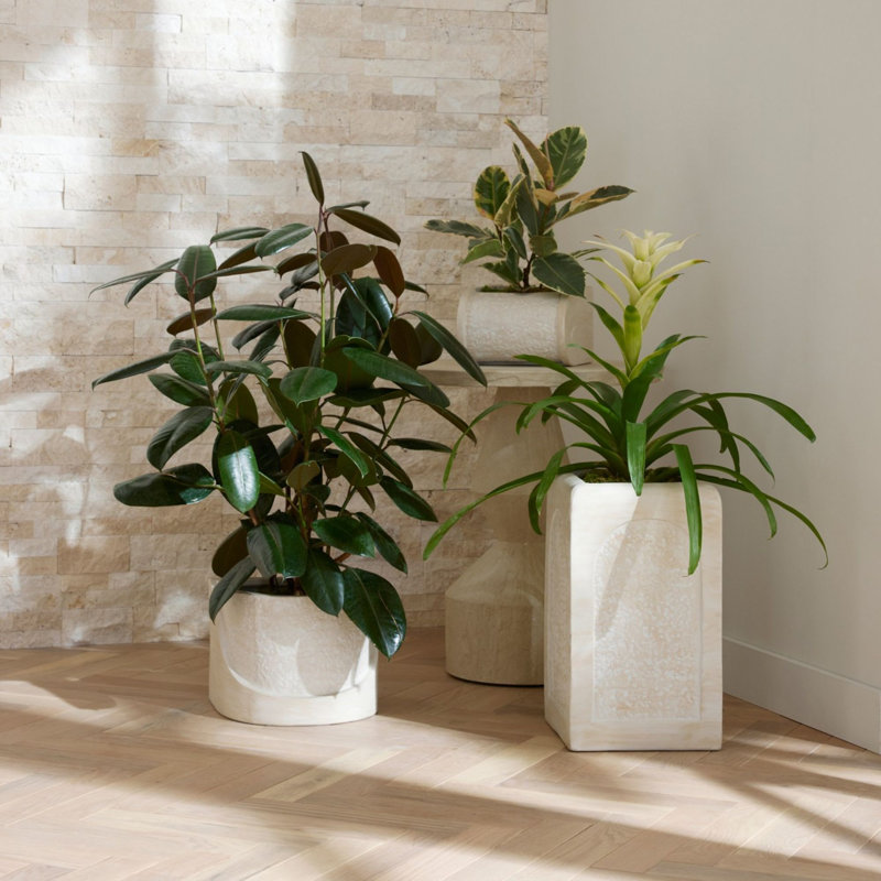 Callie Planters, Set Of 3