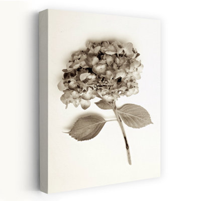 Garden Bloom # 2 - Photographie d'art