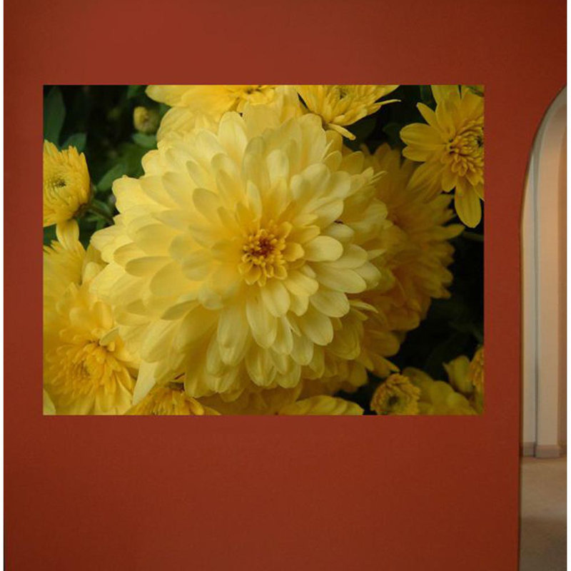 Décalcomanie murale chrysanthemum, H 18 po x l 24 po