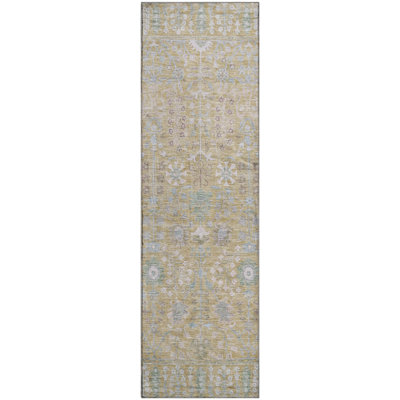 Premium Machine Washable Mayfield AMF2231 Global Rug