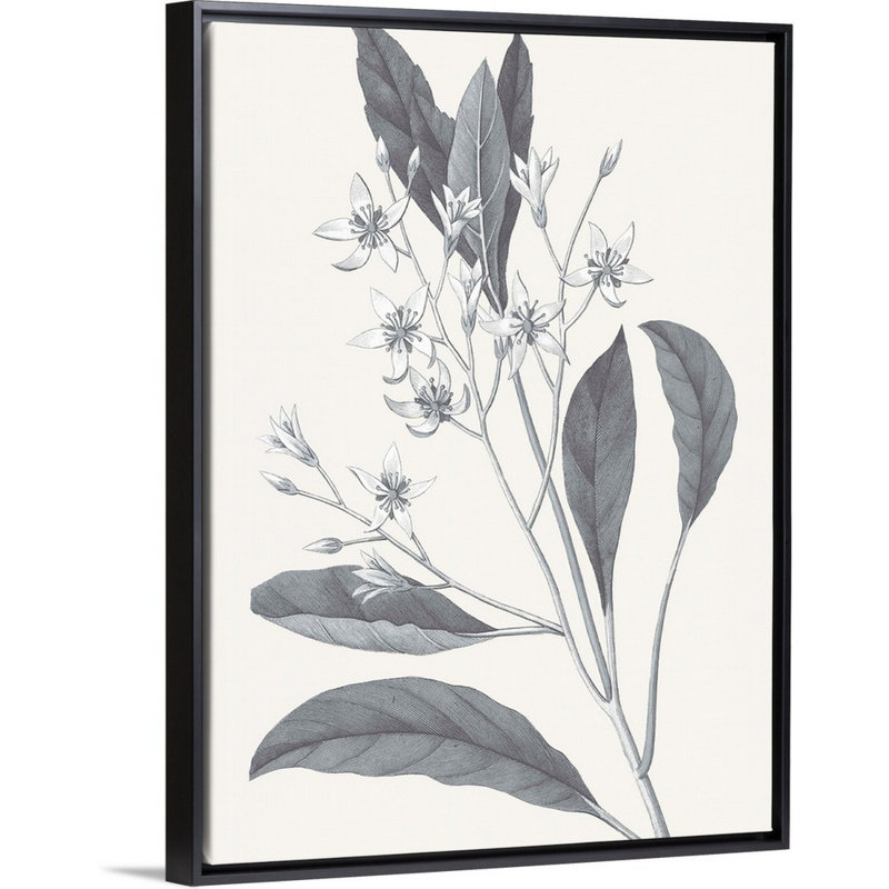 «Neutral Botanical V», art mural sur toile, Toile avec cadre noir, H 40 po x l 30 po x P 2 po