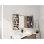Armoire de salle de bain avec miroir et rangement
