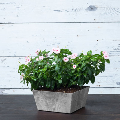 Wendover Pot Planter