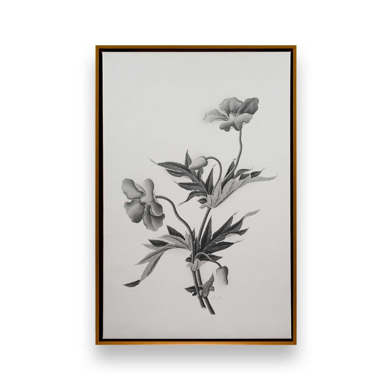 «Botanical II» par Deborah Revell, reproduction d'art sur toile, H 30 po x l 20 po, Flotteur, Doré