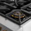48 in. 6.7 cu. ft. Dual Fuel Range in Stainless Steel with Gold Accents and Kucht Horus Thermostat-724291372