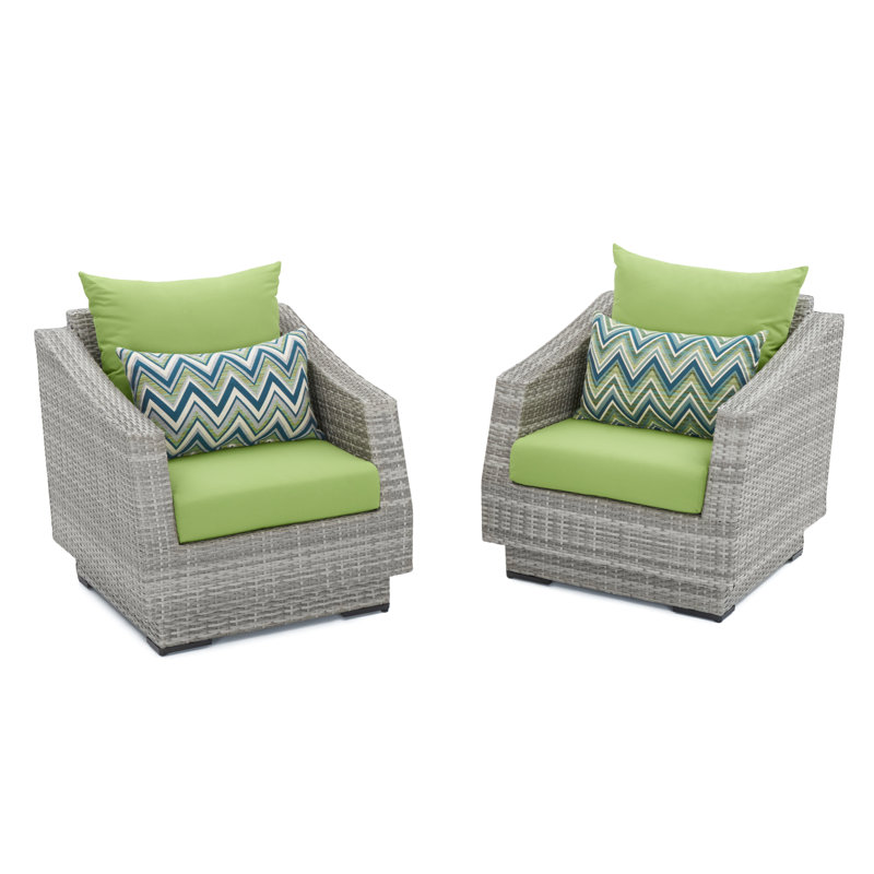 Fionnula Patio Chair With Sunbrella Cushion Covers, Canvas Ginkgo Sunbrella® Canvas