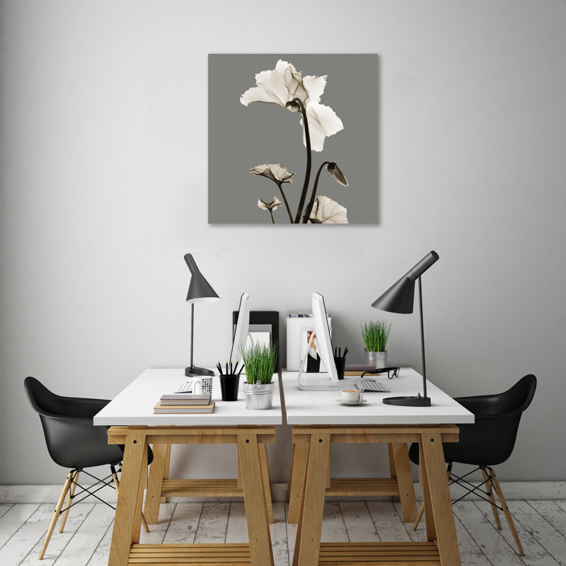 «Gray Luster Cyclamen», reproduction d'impression sur toile, H 30 po x l 30 po