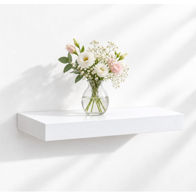 Bovina 1 Piece Floating Shelf